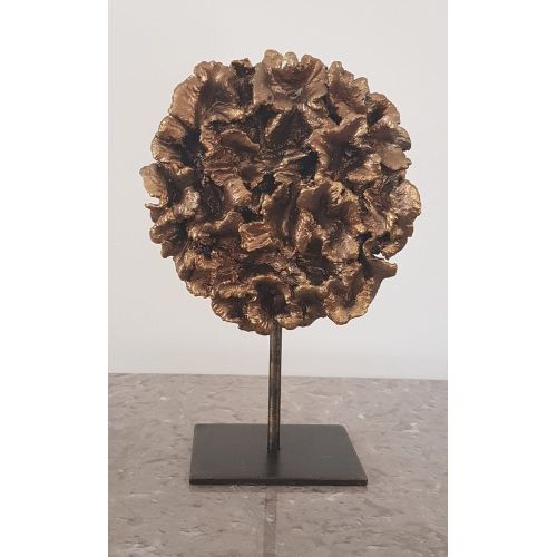 Coral Flame Ball, Duygu Gulebakan