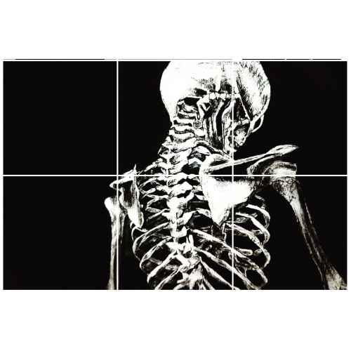 Derisiz Kadın İskeleti, Ayşe Taşdelen Derisiz kadın adlı akrilik çalışma tablosu. Tablo 35cm genişlik 50cm yükseklik