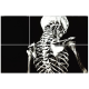 Derisiz Kadın İskeleti, Ayşe Taşdelen Derisiz kadın adlı akrilik çalışma tablosu. Tablo 35cm genişlik 50cm yükseklik