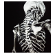 Derisiz Kadın İskeleti, Ayşe Taşdelen Derisiz kadın adlı akrilik çalışma tablosu. Tablo 35cm genişlik 50cm yükseklik
