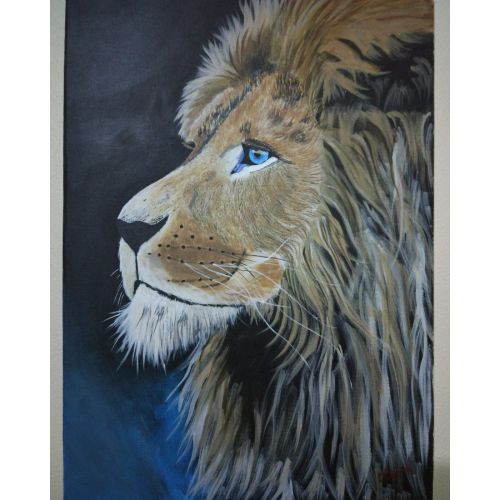 Aslan, Emre Ozturk Aslan, Emre Ozturk