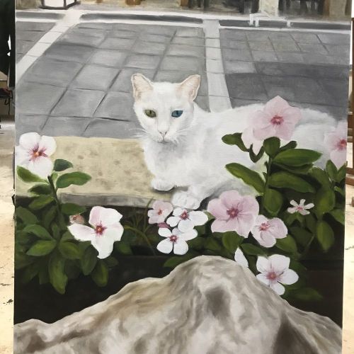 Asalet, Kedi, Özge Erem 70x100 Tuval üzerine Yağlıboya tekniği ile yapılmıştır.Kendi çekmiş olduğum fotoğraftan