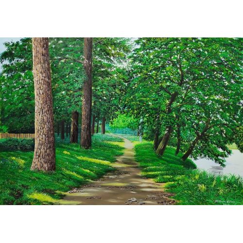 Forest Path, Ali Ihsan Gunes