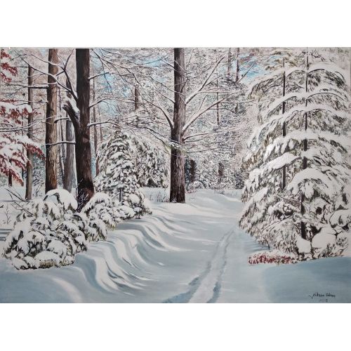 Winter And Forest, Ali Ihsan Gunes Winter And Forest, Ali Ihsan Gunes