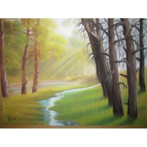 Lights Of The Forest, Emre Demir Lights Of The Forest, Emre Demir