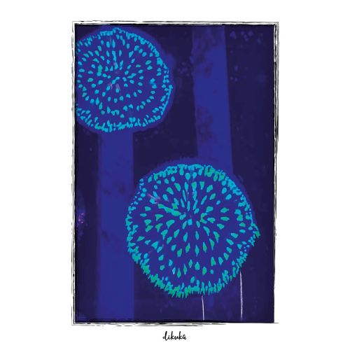 Fungia Plates, Didem Kutlu Marine Life Koleksiyonumdan bir parça. Tabak Mercanlardan esinlendim. Su altı ve Su altı