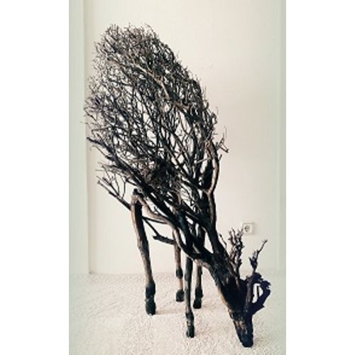 Deer, Nazmi Orsel