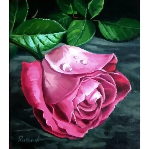 A Pink Rose 1, Ramo Adji A Pink Rose 1, Ramo Adji