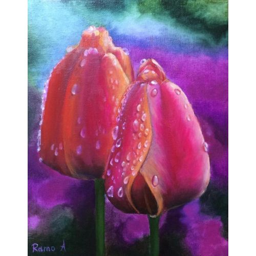 Tulip Flowers, Ramo Adji