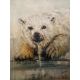 Polar Bear, Olga Ruden