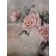 Roses 2, Olga Ruden Oil painting on canvas, 50x50cm, unframed Oil Paint Paintings