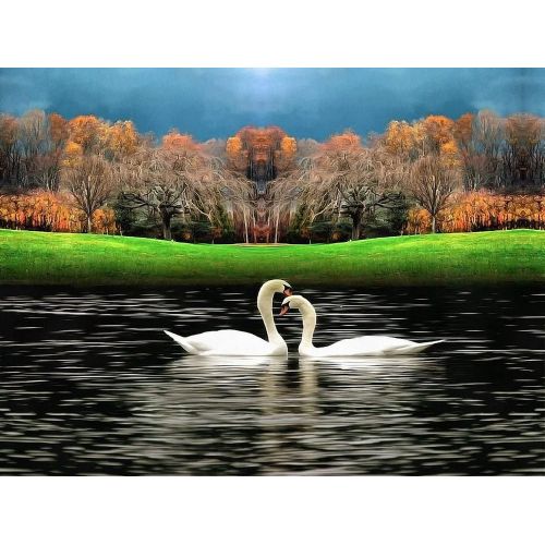Landscape With Swans, Nana Tchelidze