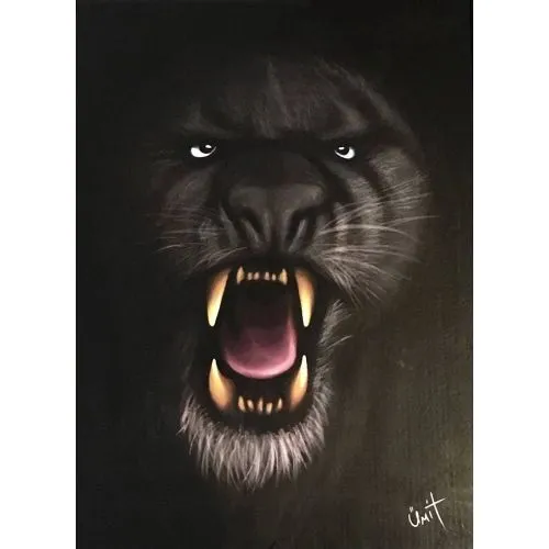 Black Panther, Umit Sezgin Black Panther, Umit Sezgin