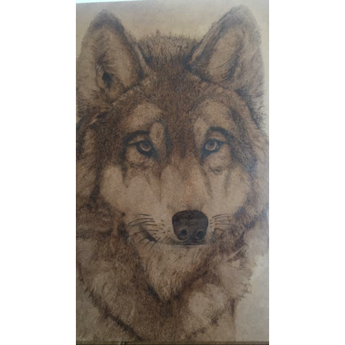 Misty Eyed Wolf, Senol Karaoglan  Mixed Paintings