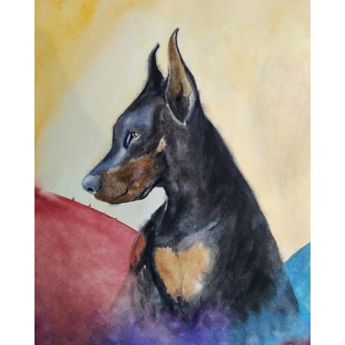 Doberman, Hakan İsmail Şiriner Doberman, Hakan İsmail Şiriner