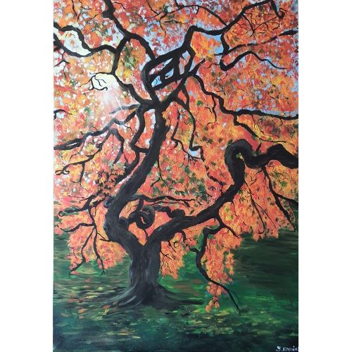 Sycamore Tree, Yasemin Enginel