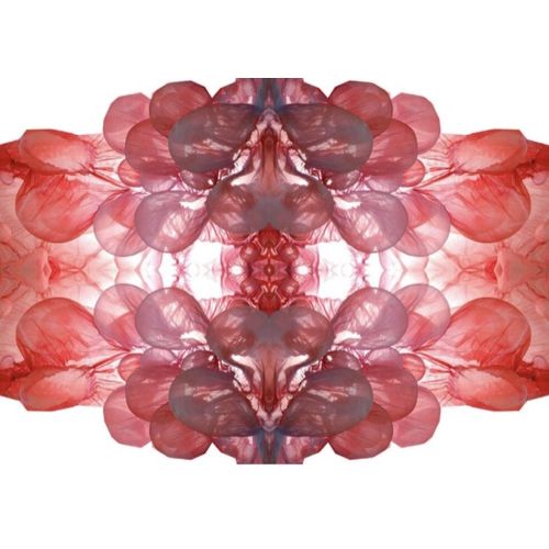 Cocoon Series Mother Archetype, Merve Ceylan Illustration Cocoon Series Mother Archetype, Merve Ceylan Digital Print on Canvas Illustration Paintings