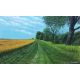 Green Road, Savas Cakir