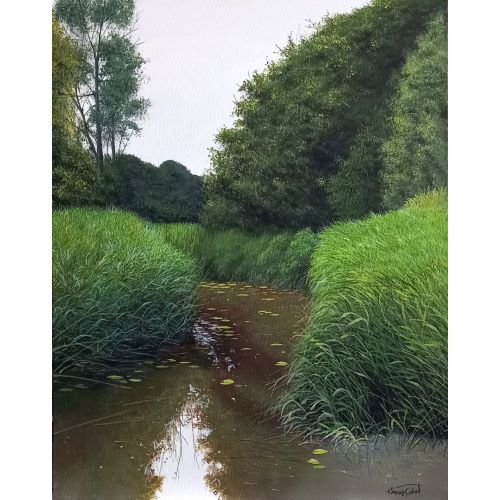 Reeds on the Riverbank, Savaş Çakır.