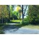 Spring Morning, Savas Cakir