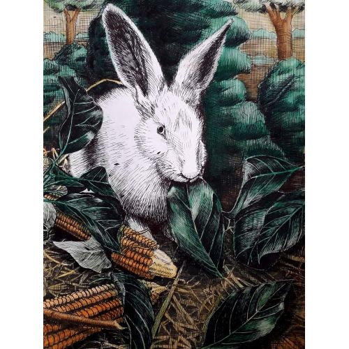 Rabbit, Humeyra Kaya Rabbit, Humeyra Kaya